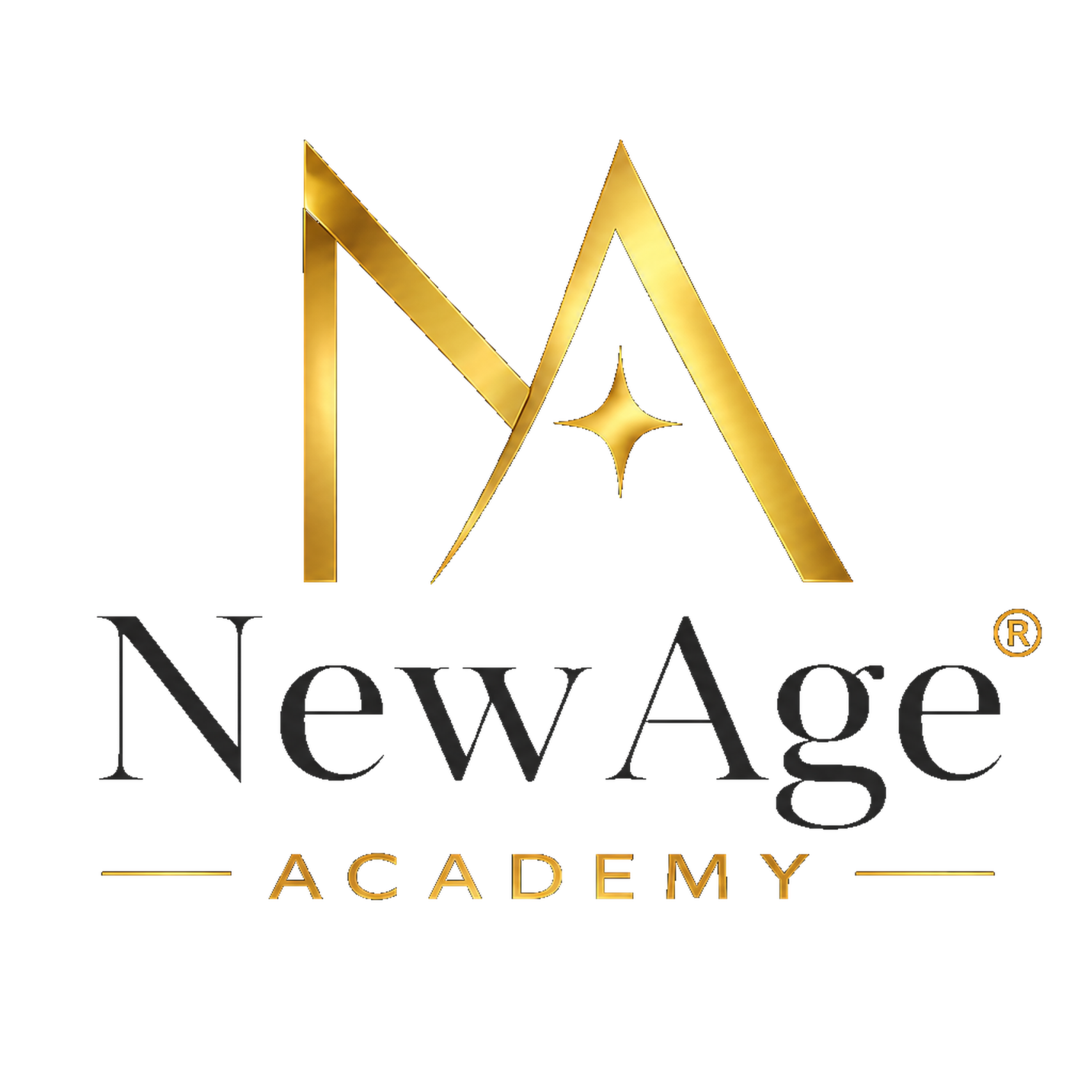 NewAge Academy
